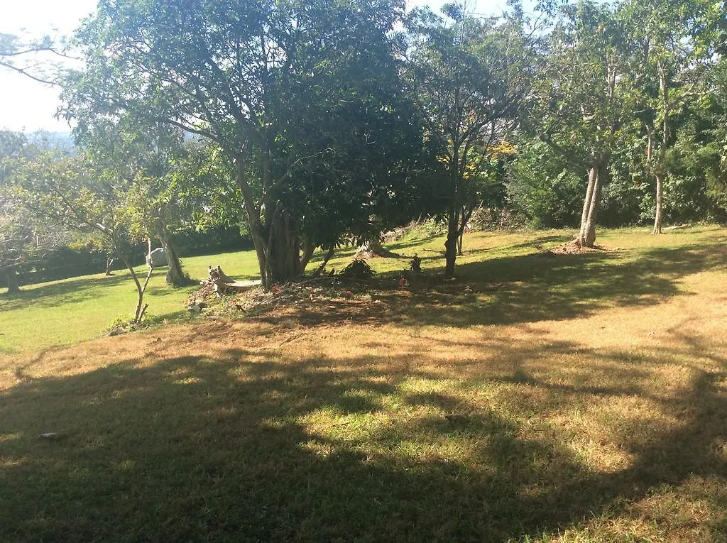 *** Bed & Breakfast June Plum Bed And Breakfast Mandeville Jamaica