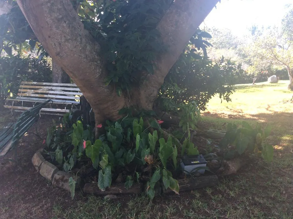 June Plum Bed And Breakfast Mandeville
