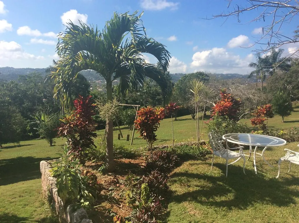 Bed & Breakfast June Plum Bed And Breakfast Mandeville