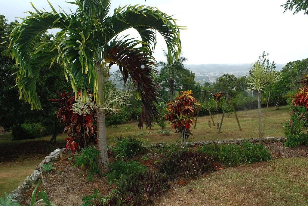June Plum Bed And Breakfast Mandeville