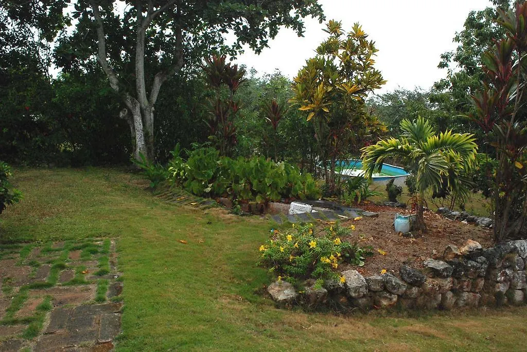 Bed & Breakfast June Plum Bed And Breakfast Mandeville