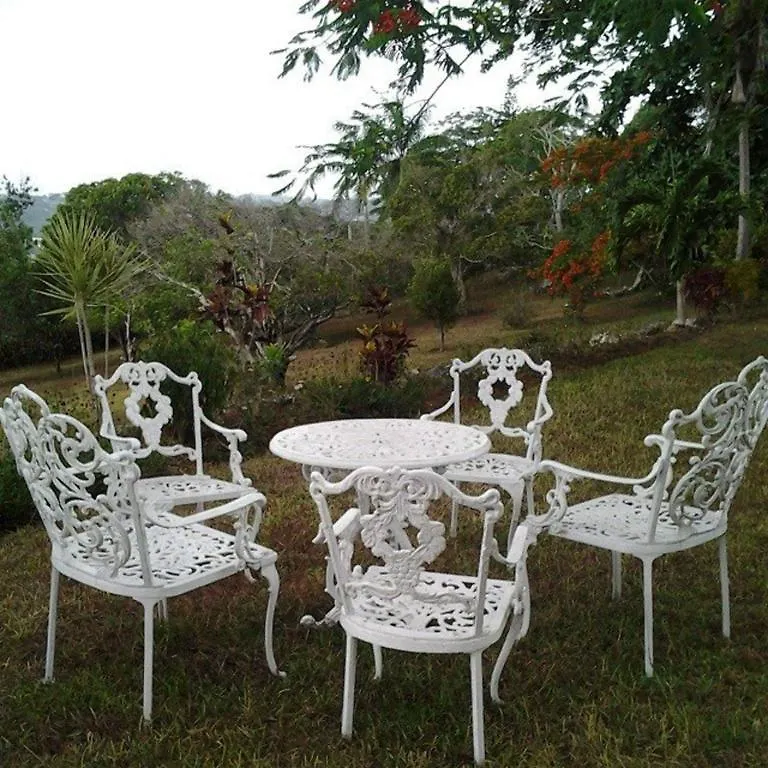 Bed & Breakfast June Plum Bed And Breakfast Mandeville