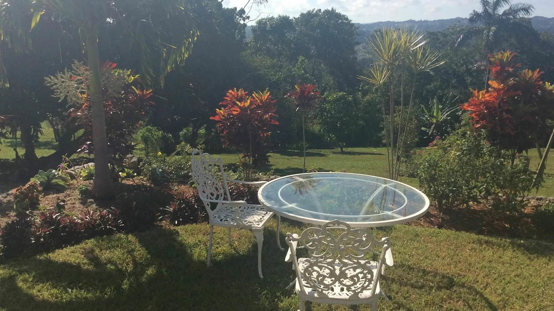 June Plum Bed And Breakfast Mandeville