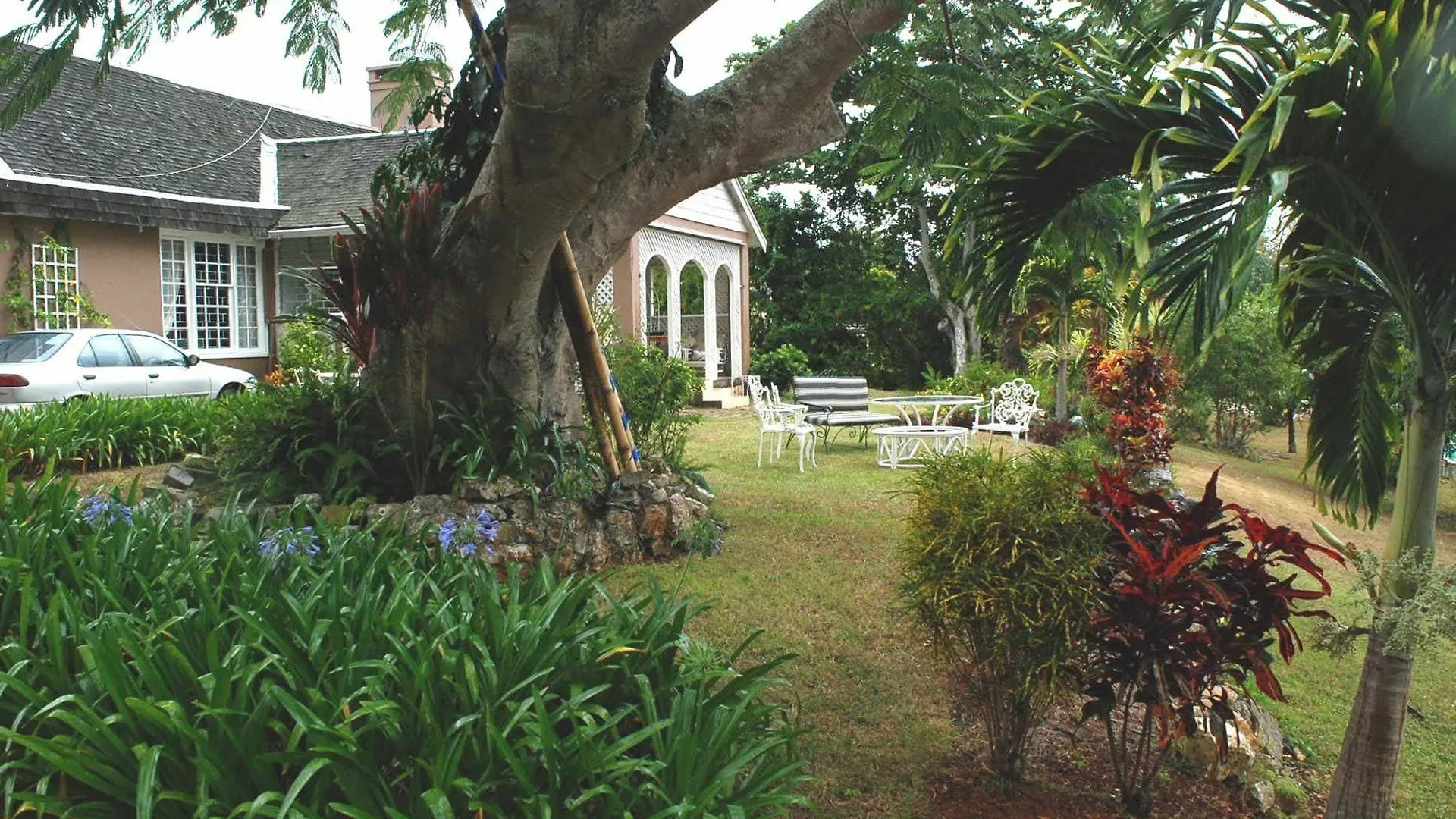 Bed & Breakfast June Plum Bed And Breakfast Mandeville