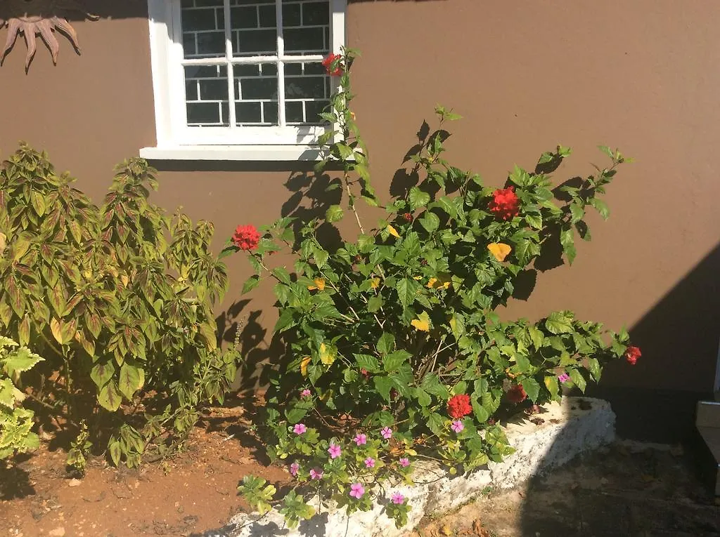 June Plum Bed And Breakfast Mandeville Oda ve Kahvaltı