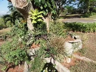 June Plum Bed And Breakfast Mandeville
