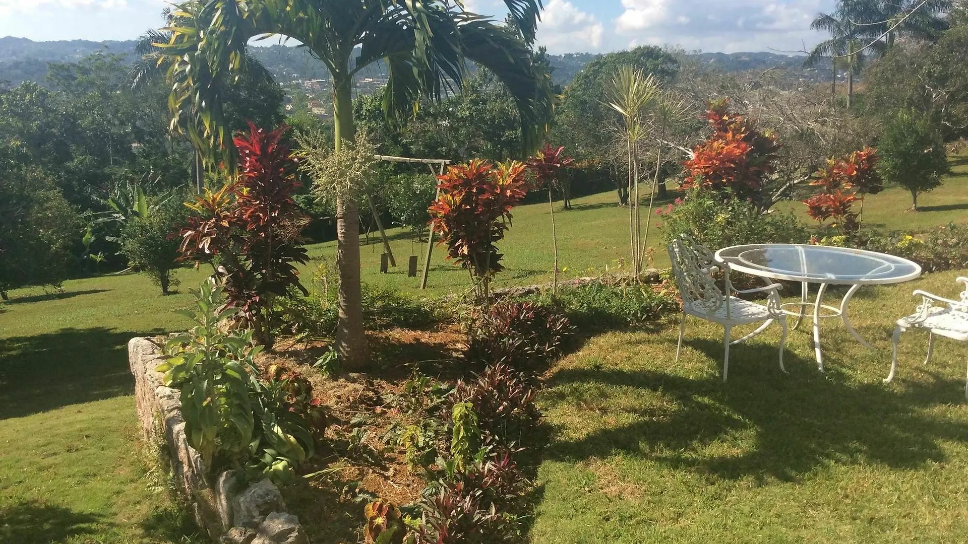 Oda ve Kahvaltı June Plum Bed And Breakfast Mandeville