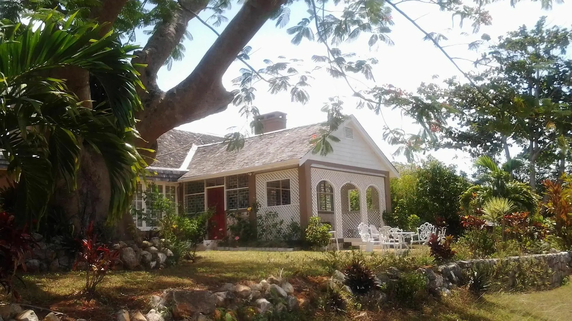 *** Oda ve Kahvaltı June Plum Bed And Breakfast Mandeville Jamaika
